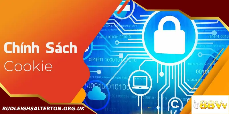 chính sách cookie vô cùng quan trọng trong quá trình duyệt web