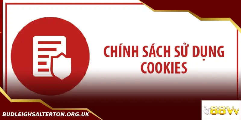 Có 3 dạng cookie chính mà chúng ta thường gặp