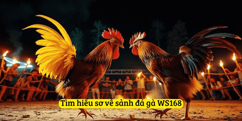 Cược đá gà tại WS168 rất đa dạng
