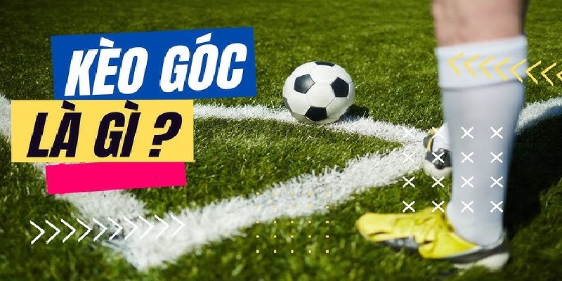 Nghiên cứu kỷ loại kèo này giúp người chơi tối ưu hóa lợi nhuận