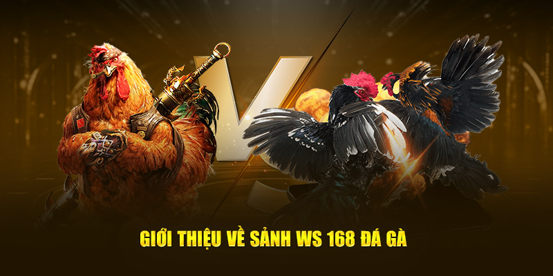 Sử dụng đúng chiến lược khi chơi tại sảnh đá gà ws168